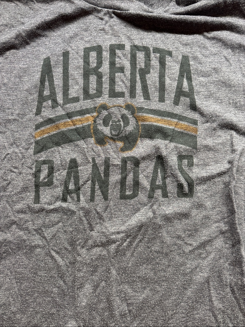 Women’s University of Alberta Elevate Heather Gray Graphic T-Shirt Size Medium - Picture 3 of 5